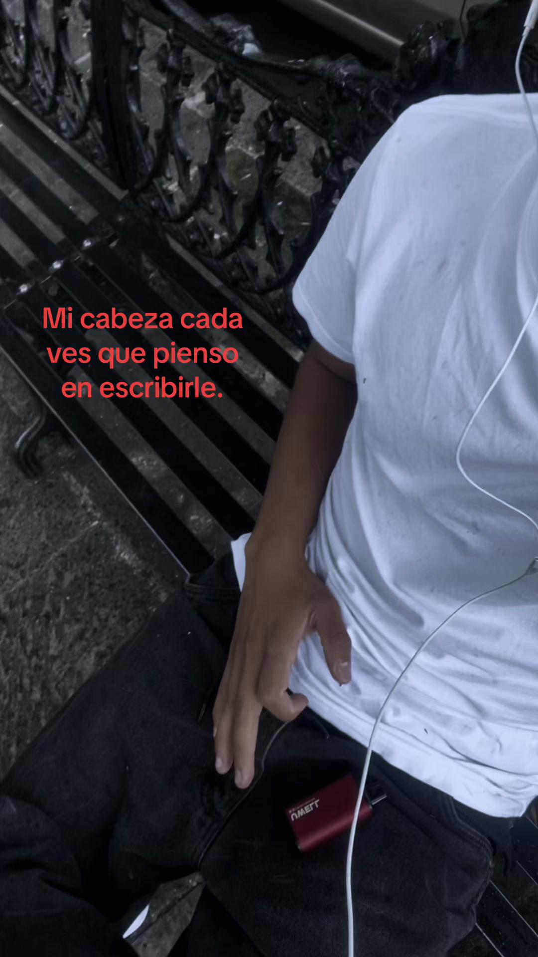 @🪼