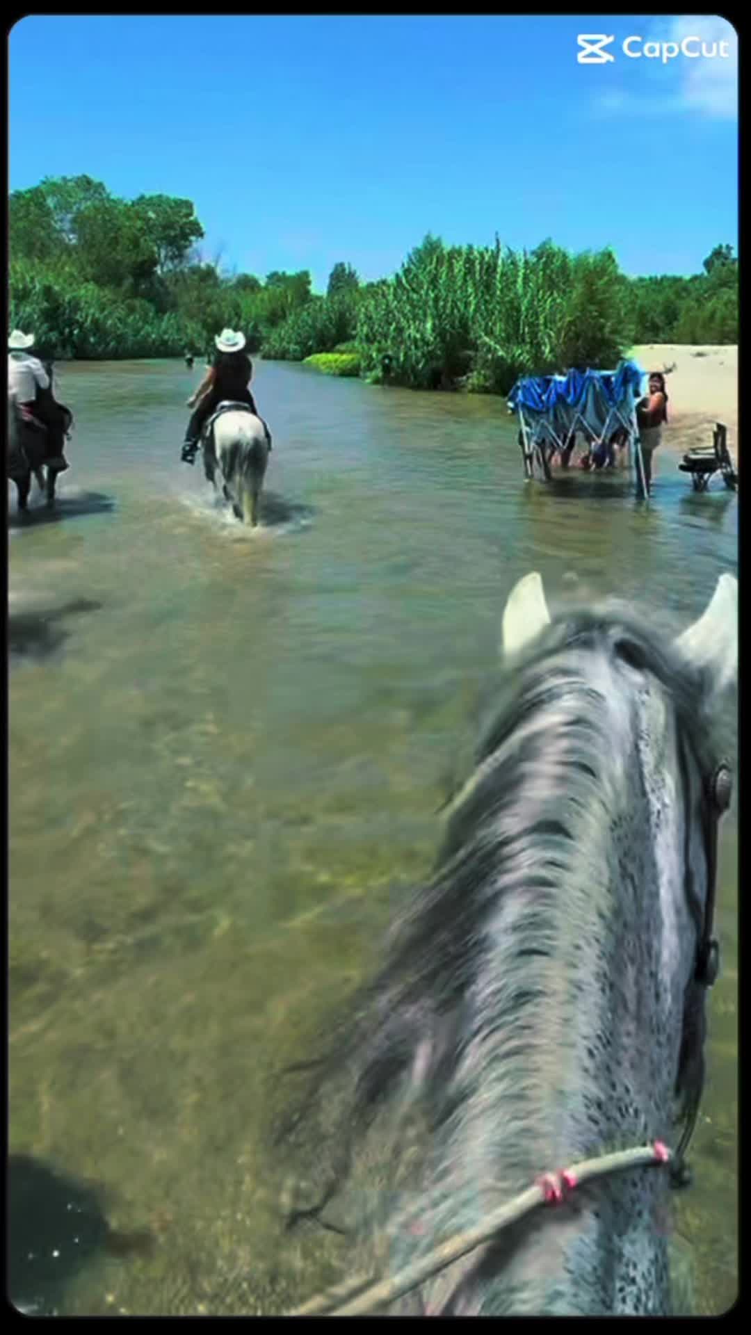@Bella_o6🐴