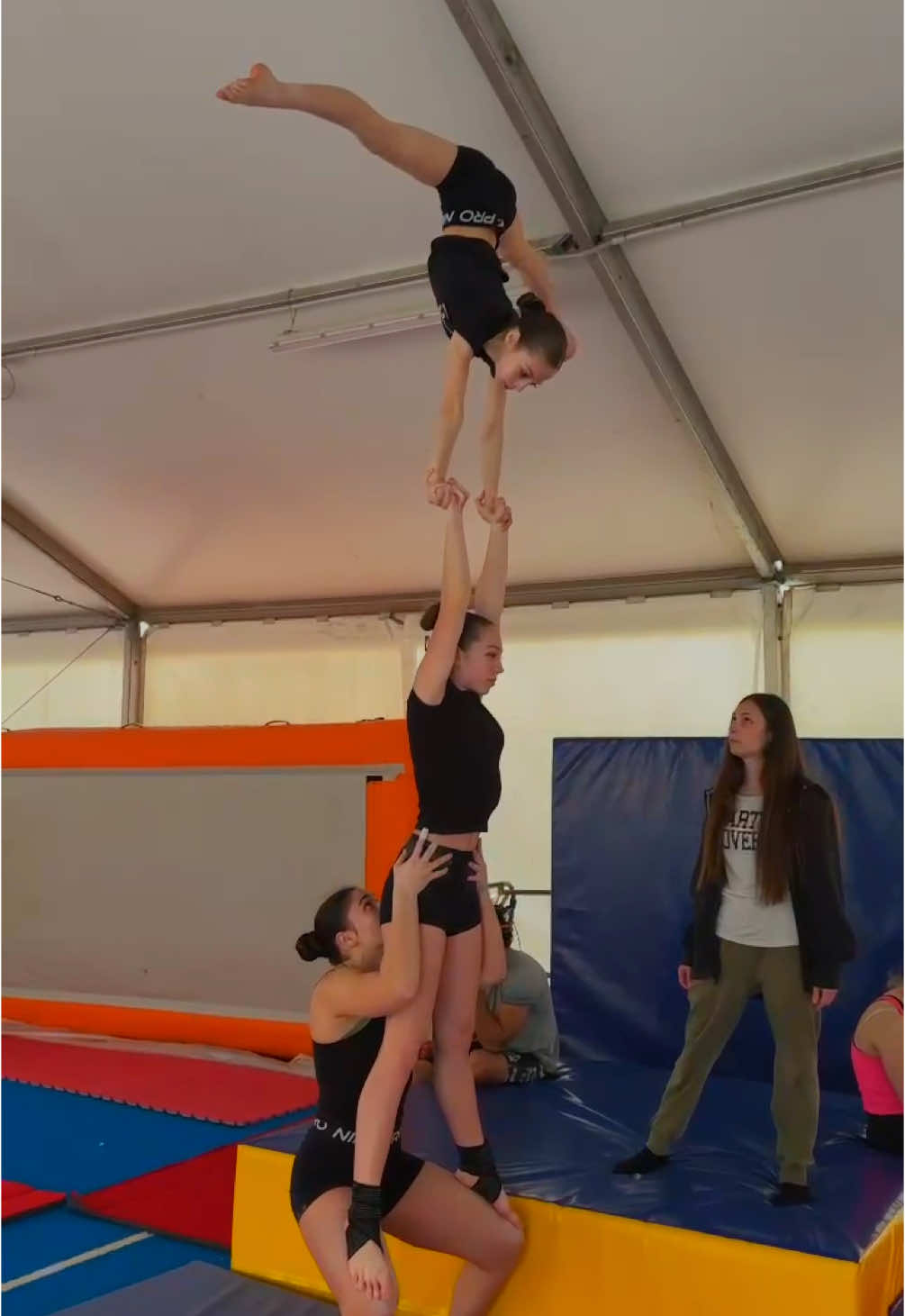 @asd acrotigers🧡🖤