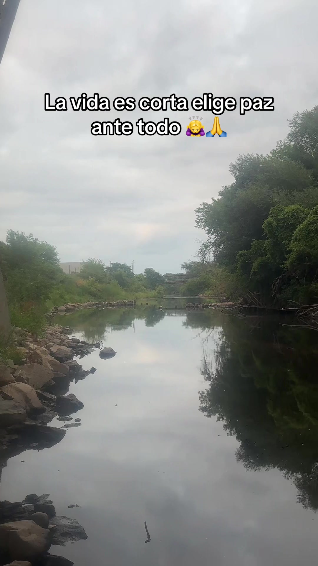 @🦋Mariposita🌻🦋