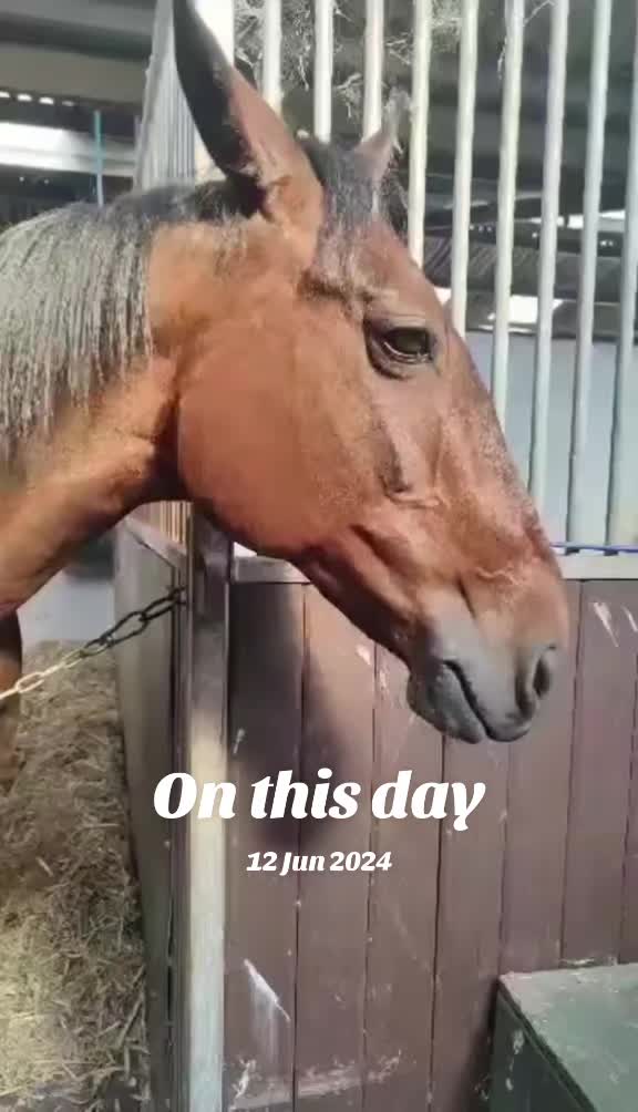 @WanderingWithWoody