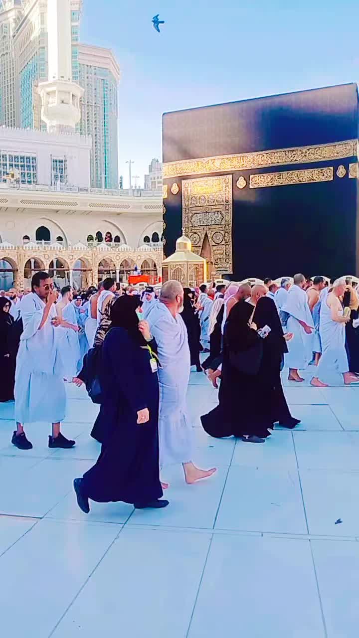 @MalikG