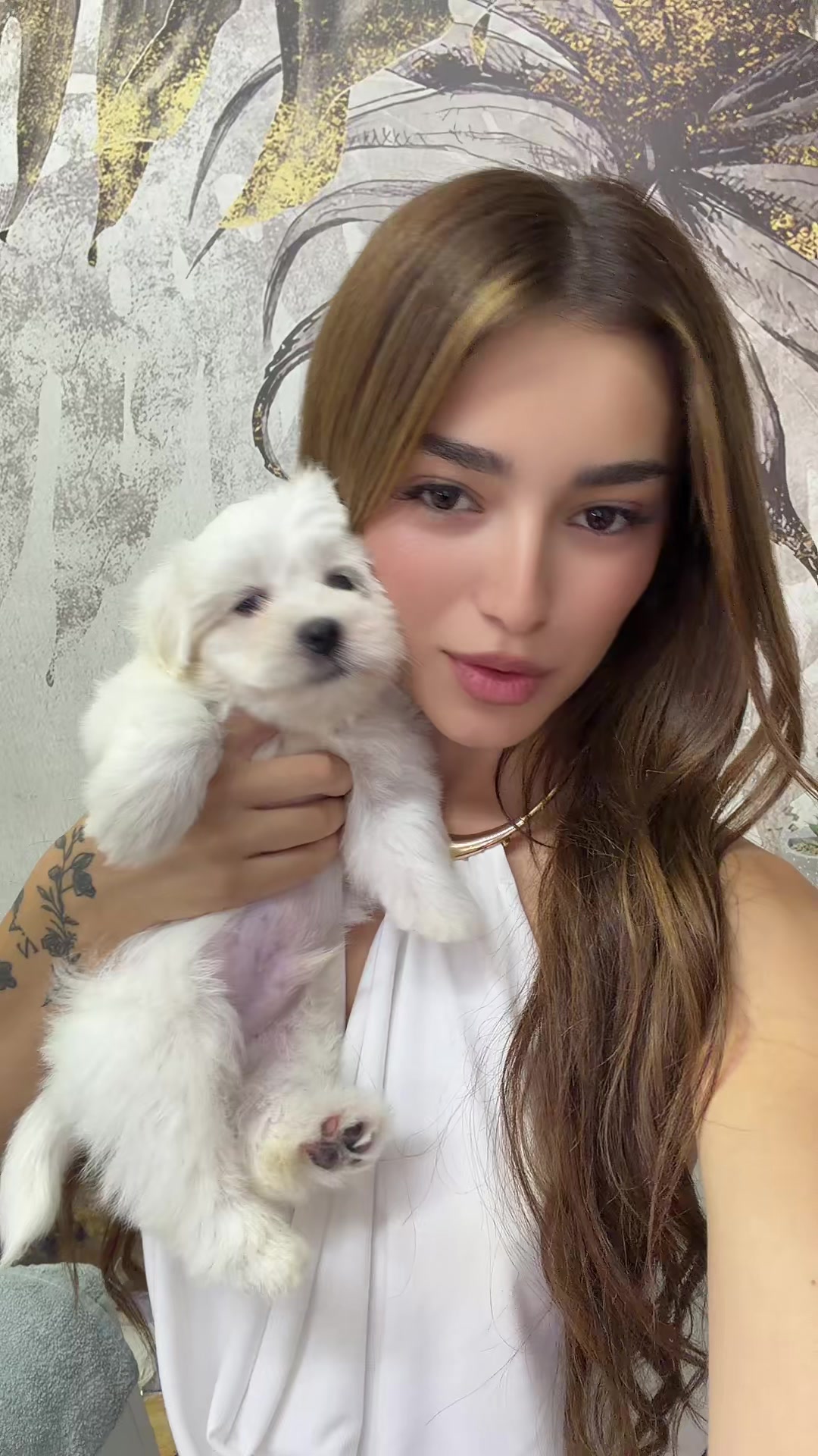 @Anisa🪽