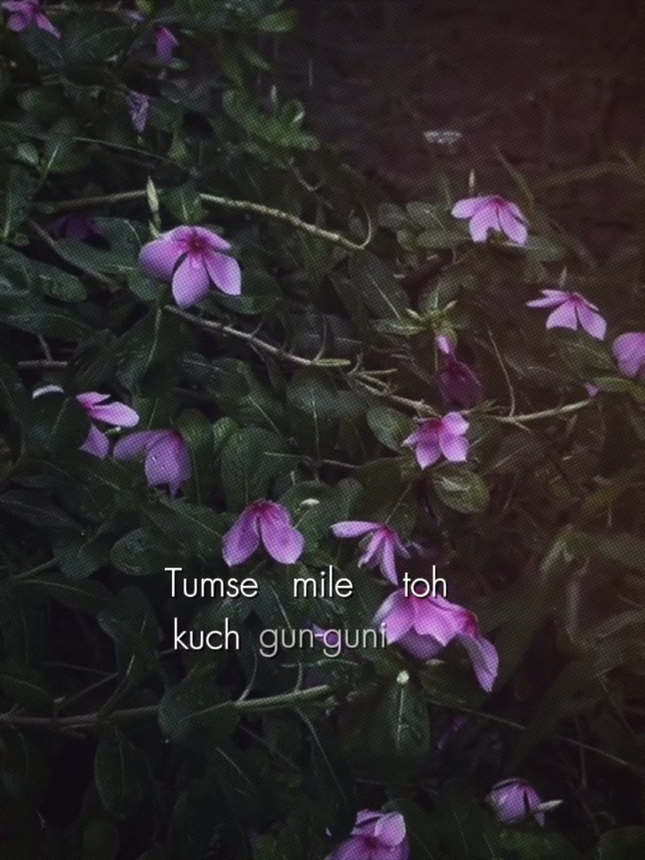 @𝐒𝐔𝐌𝐌𝐈🌷
