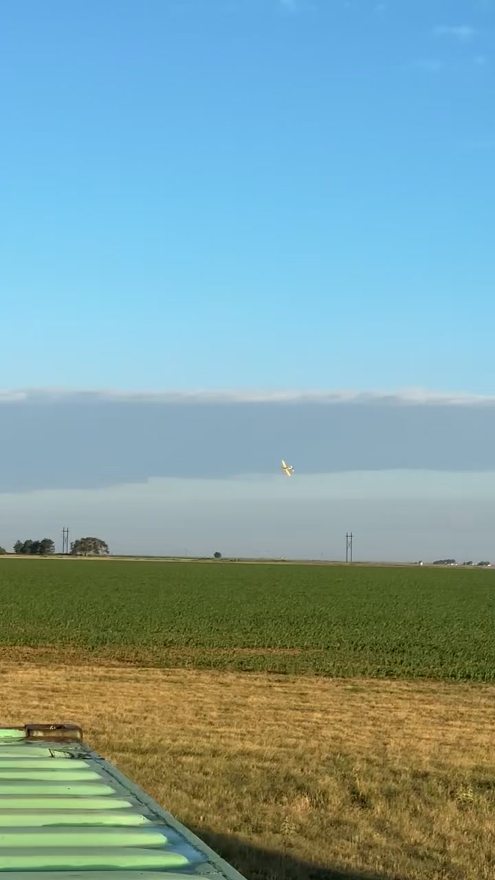 @Randy white