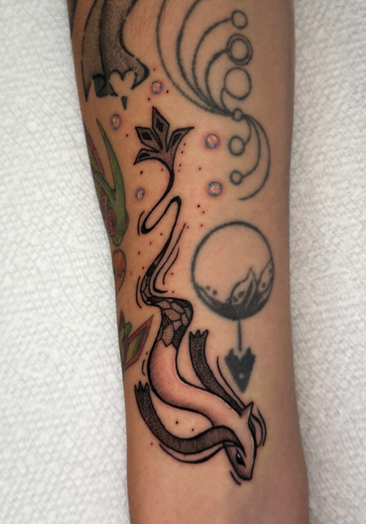 @Delaney Rose Ink
