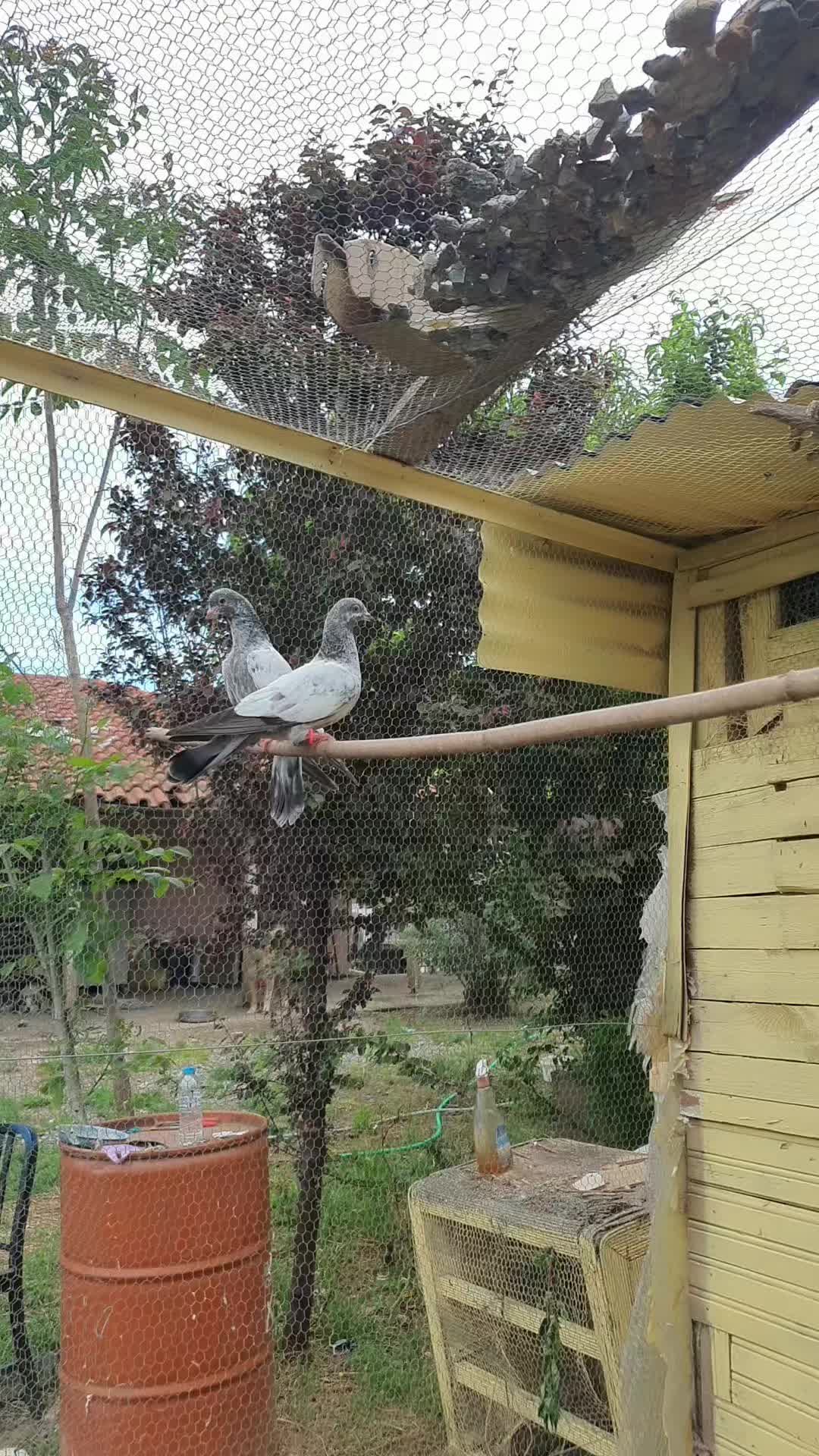 @MalaNgNi (ملنگیی) ..☝️🔥🥷🦅