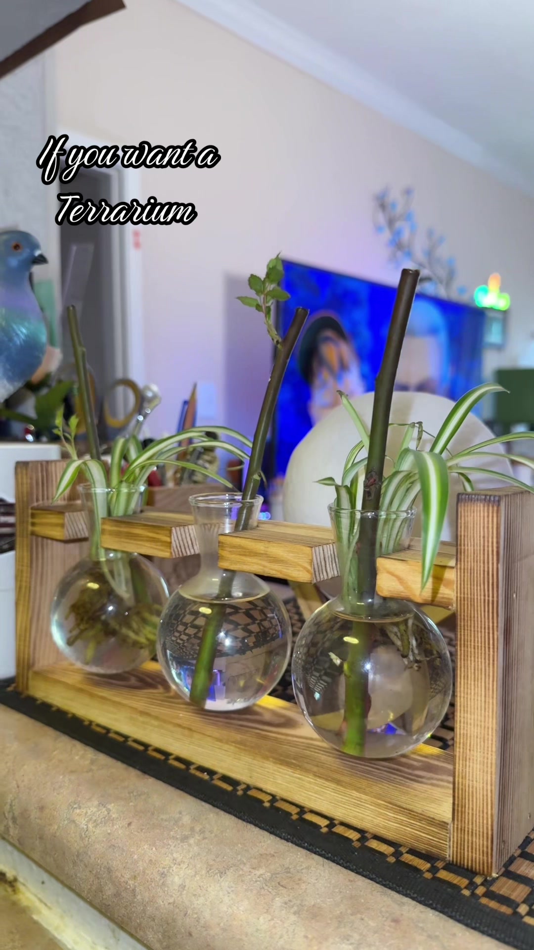 @RStiktokfinds