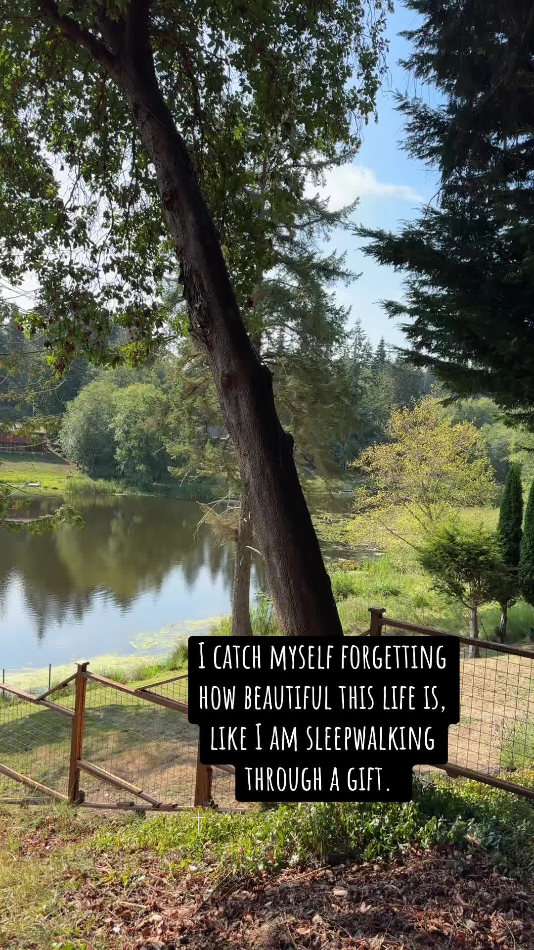 @Megan.Reeves