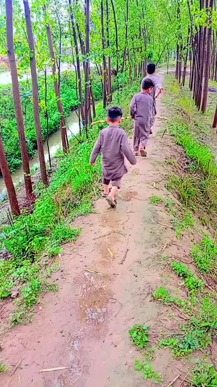 @Rohail 888