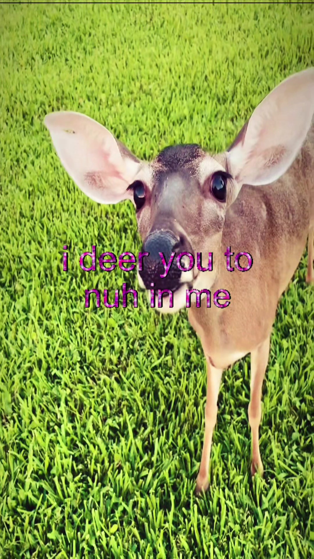 @livinlikedis