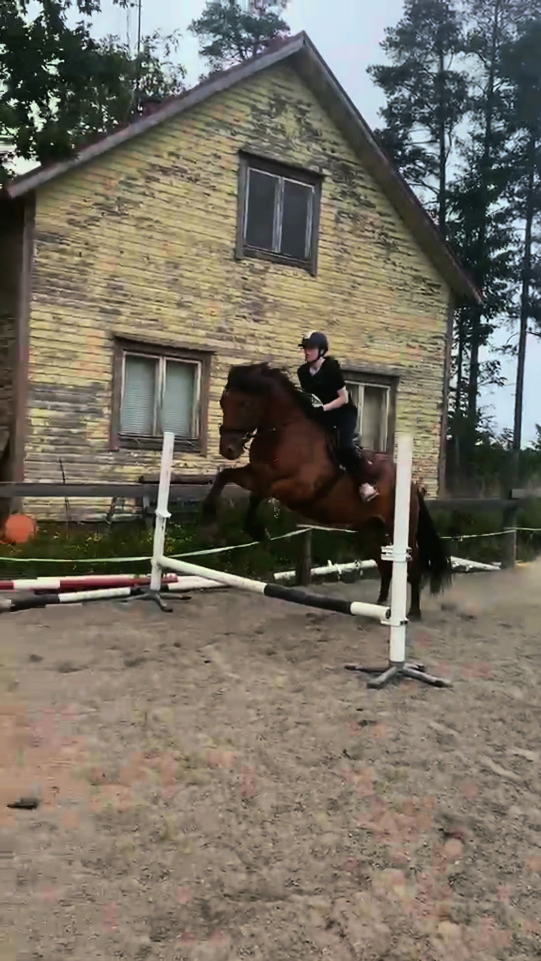 @Ponirannan talli🇫🇮🐎