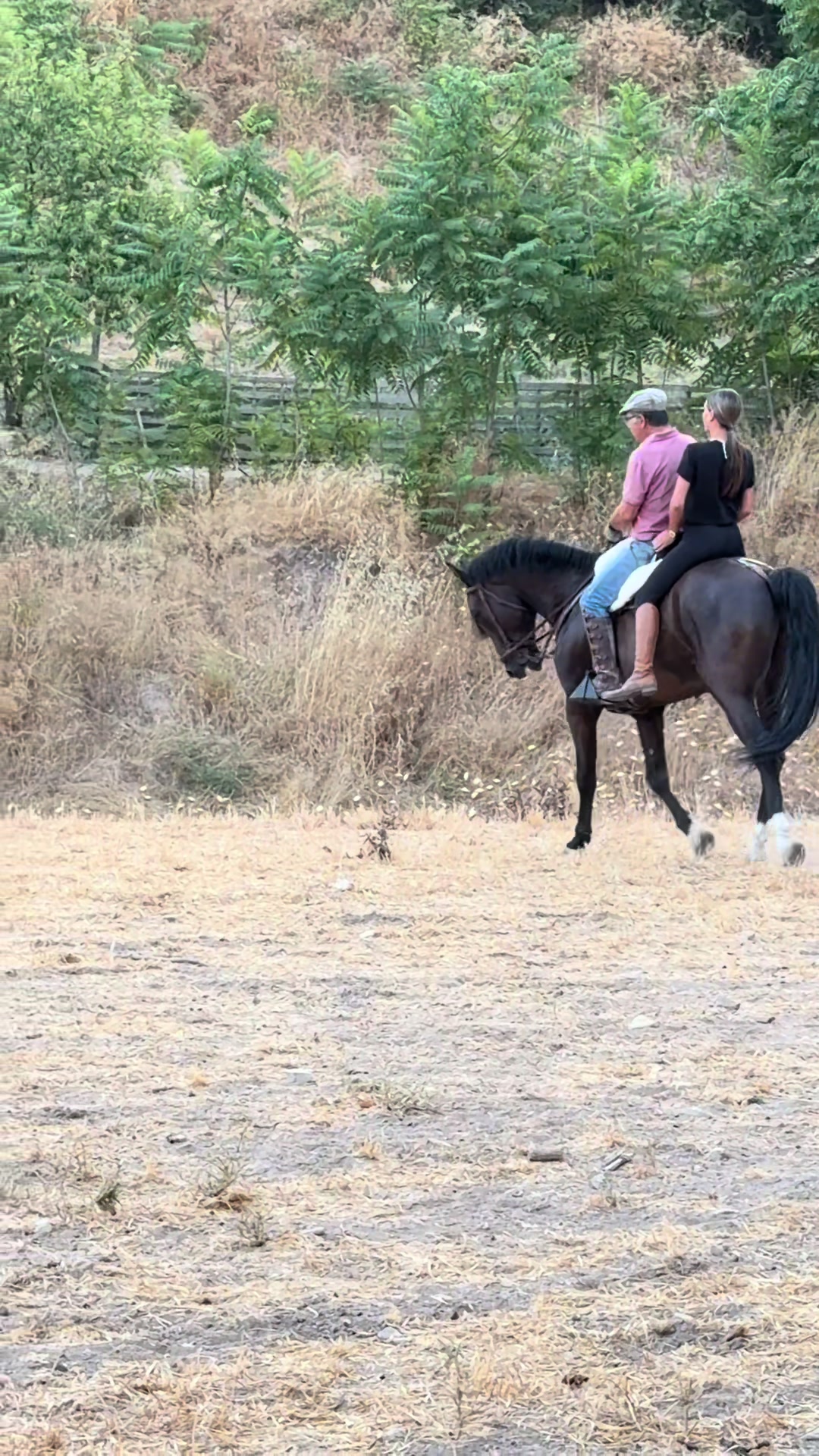 @Sandra Molina🐎🇪🇸