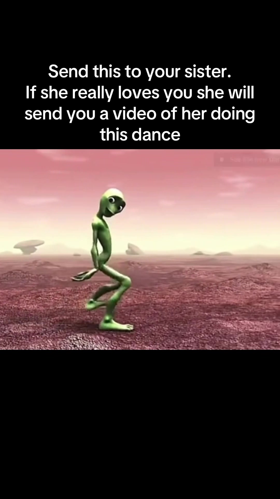 @woz2304