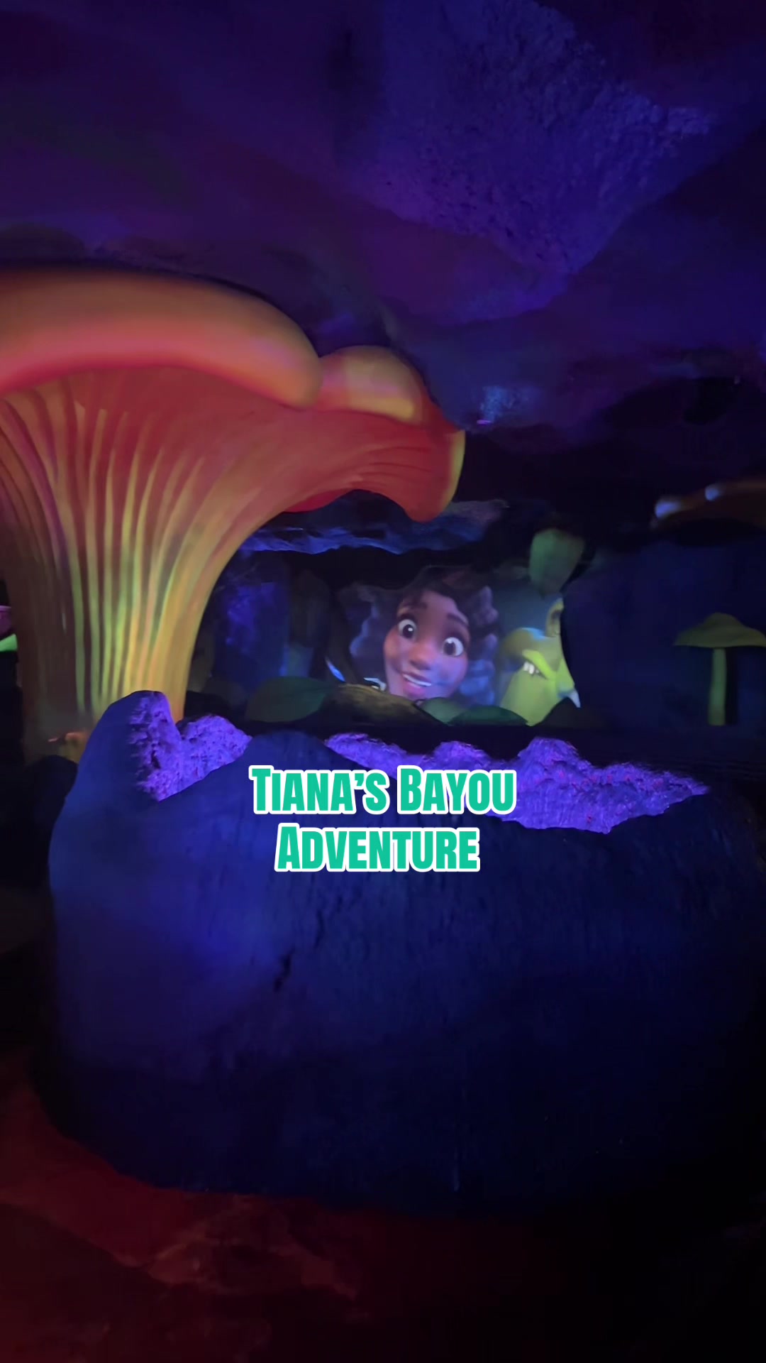 @Theme Park Stephen
