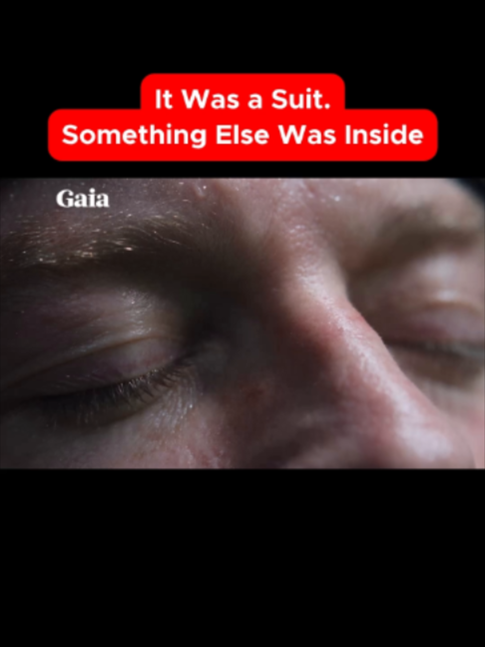 @Gaia