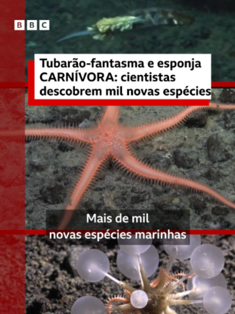 @BBC News Brasil