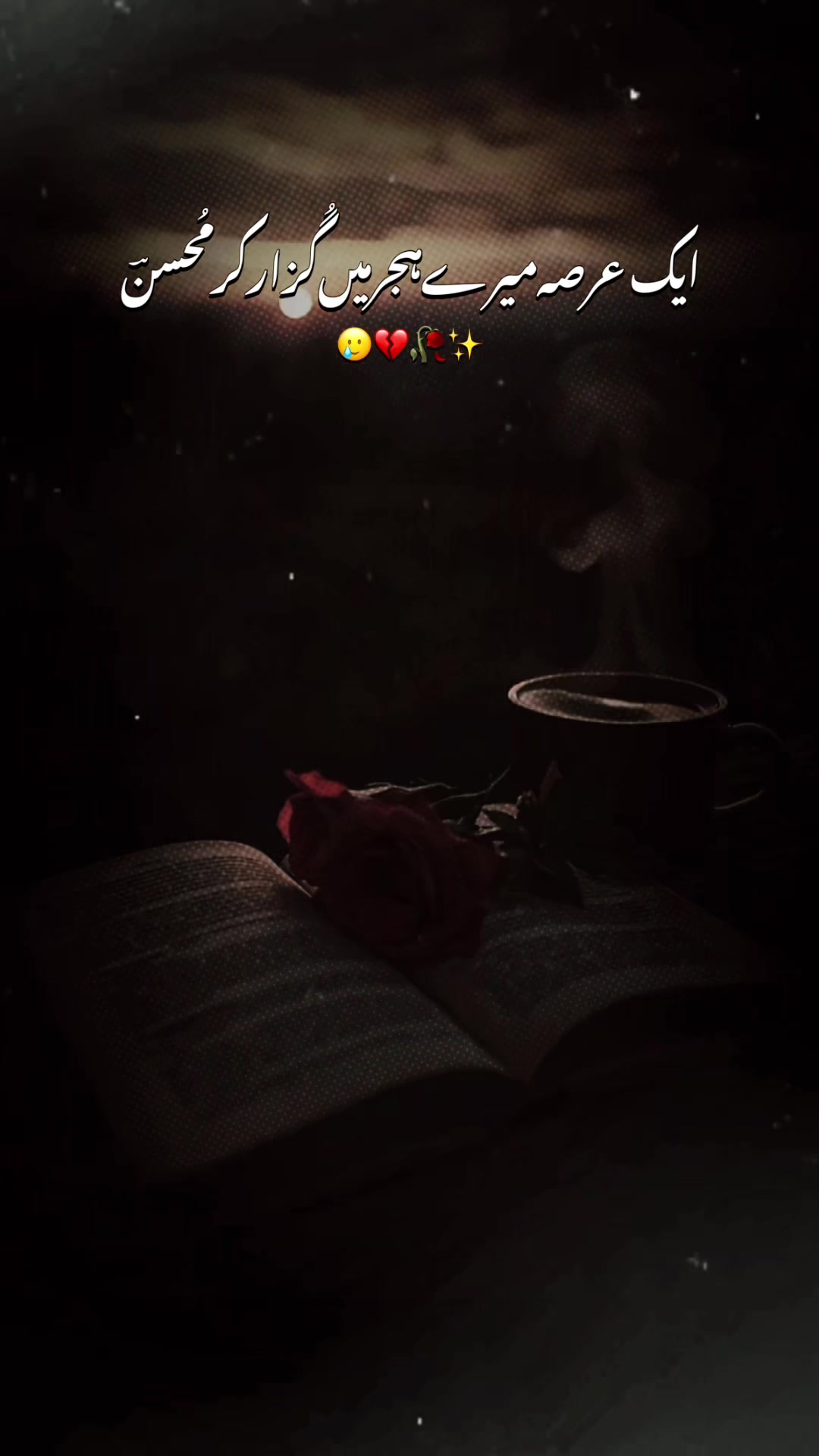 @FOZIA S DIARY❤️