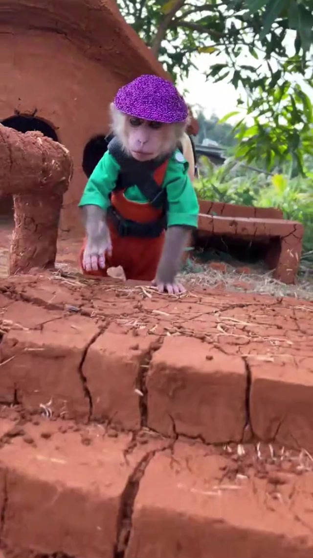 @Jaycoded7