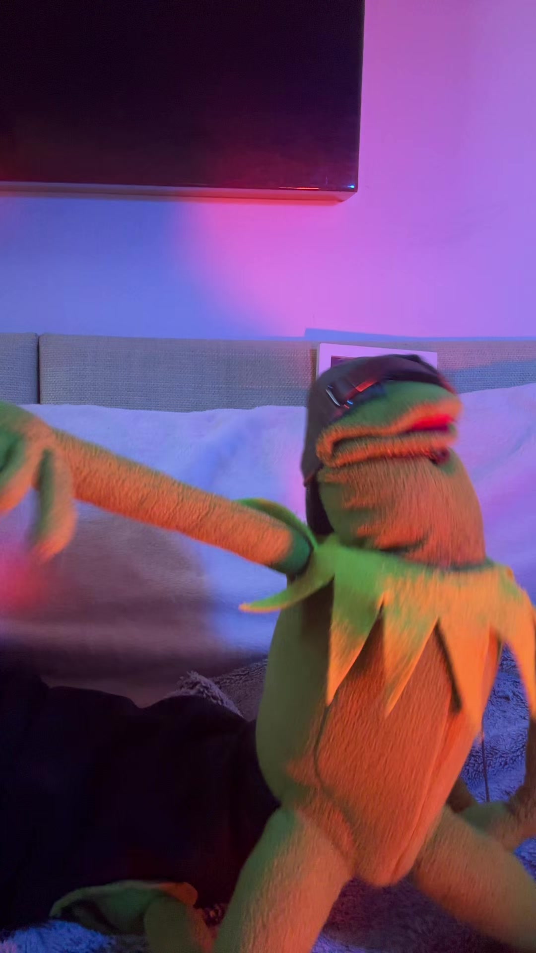 @🐸 Crashout Kermy 🐸