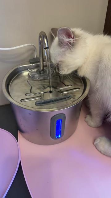@Claws & Paws Parcels