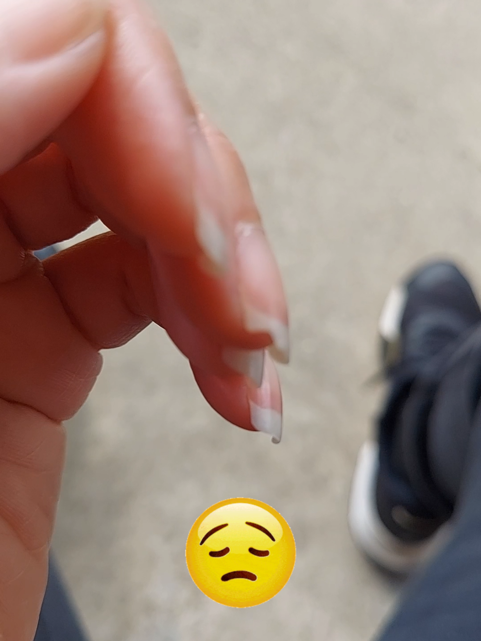 @Twylight