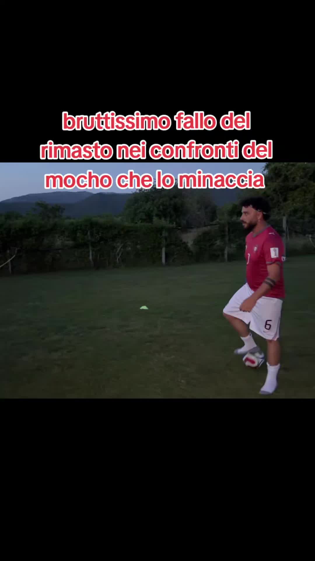 @walcott