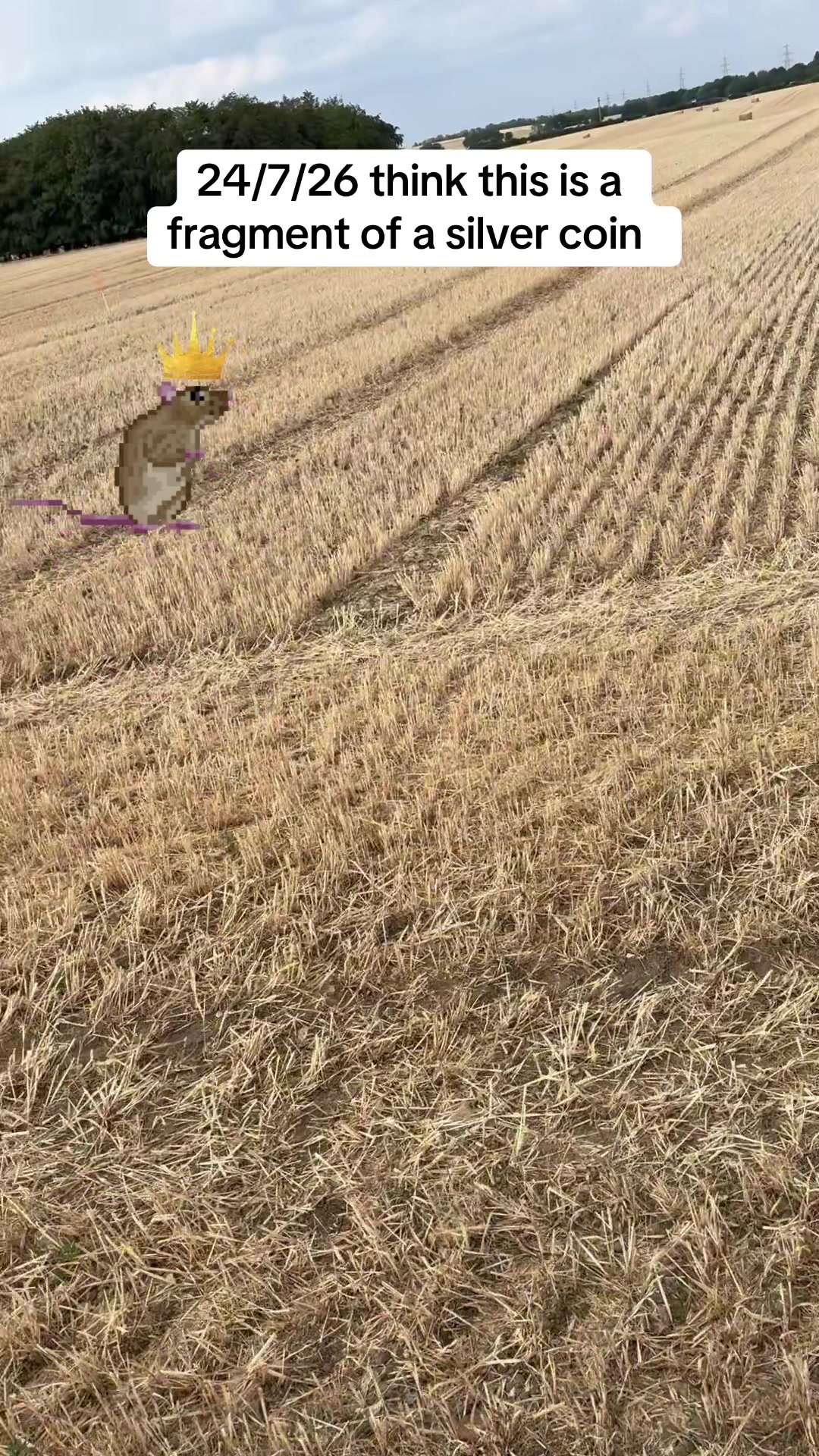 @SirKingRat