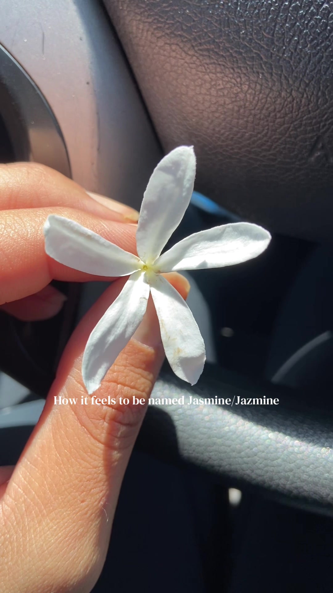 @⋆.˚☾⭒.𝒋𝒂𝒛𝒎𝒊𝒏𝒆❀⋆.ೃ࿔*