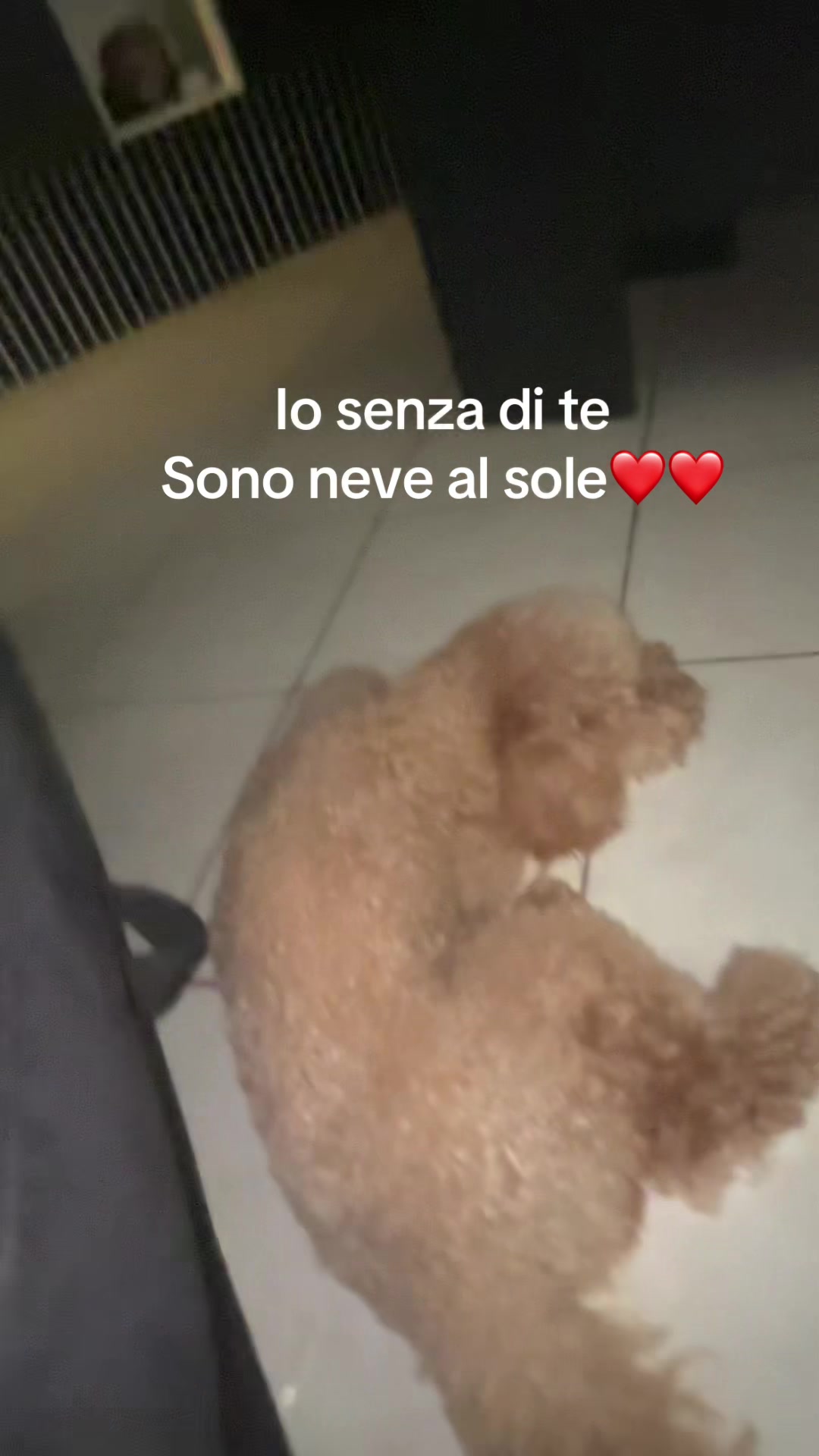 @MIKY_SPAMM 🔥