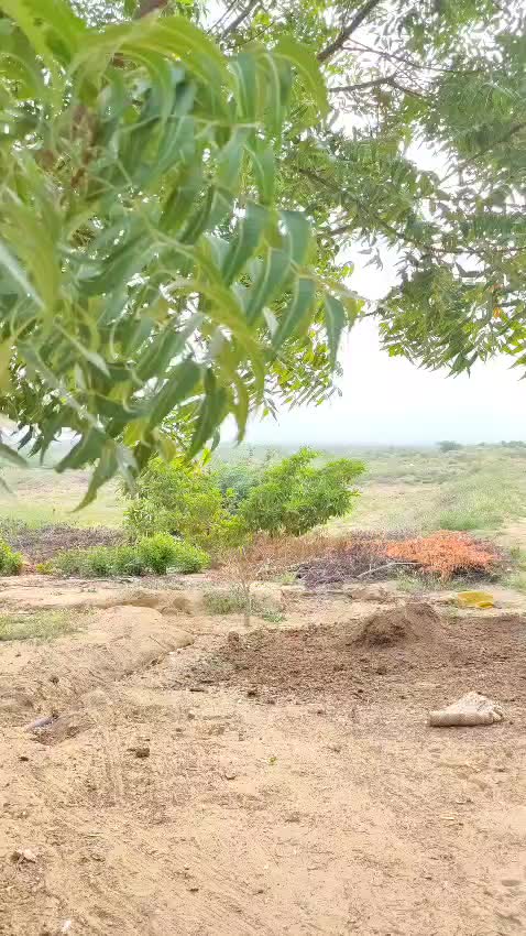 @walidzarakzai