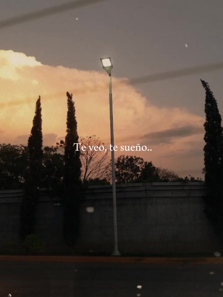 @sofi vigevani🌳