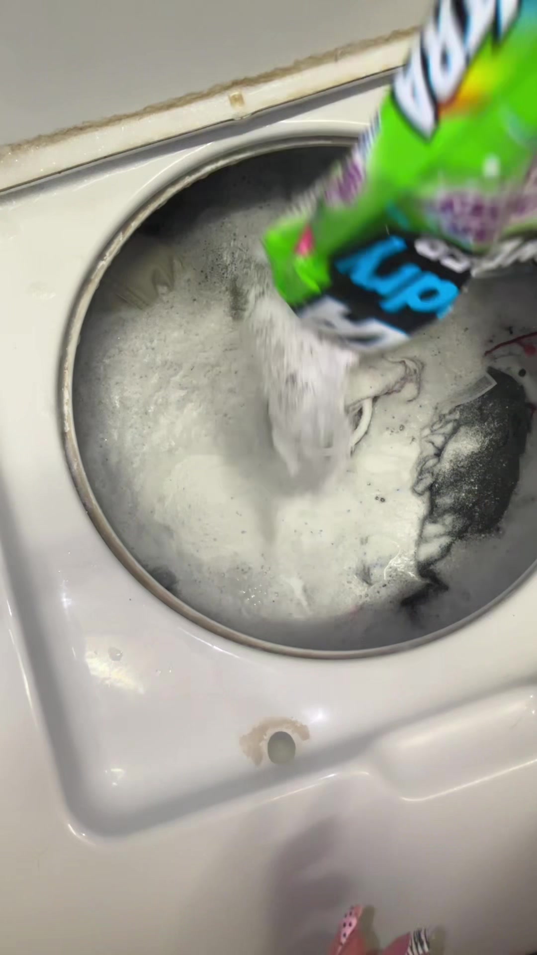 @laundry lizard 🦎