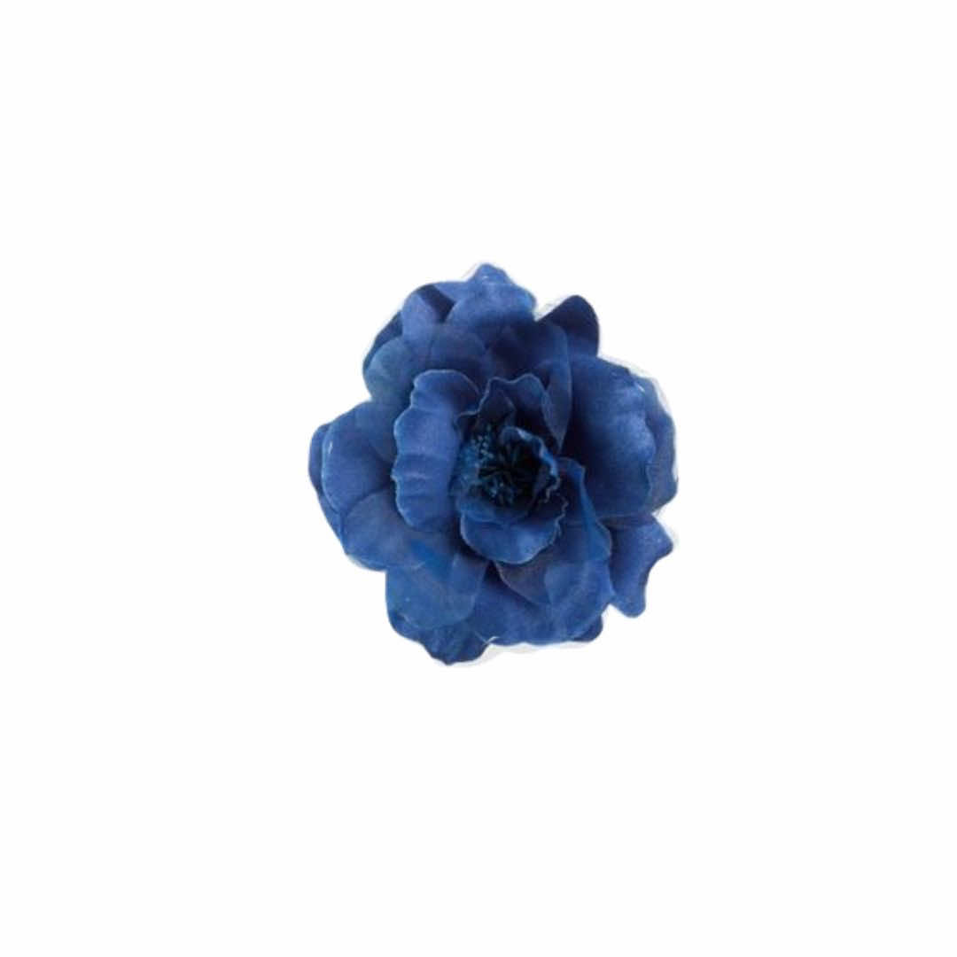 @ˏˋ°•*⁀➷