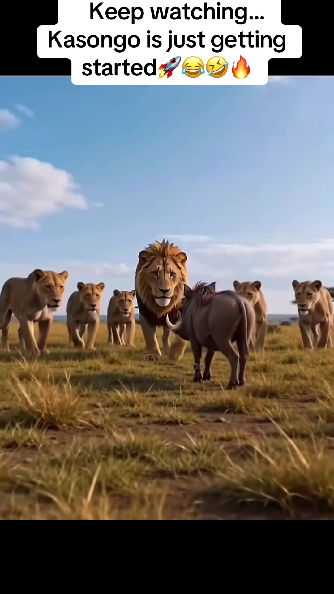 @Roi De la Jungle