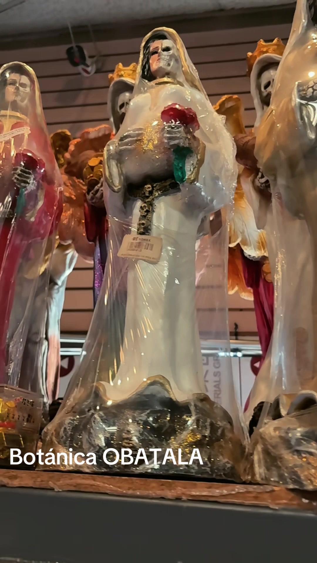 @♛Botánica oshun🌻Obatala🤍