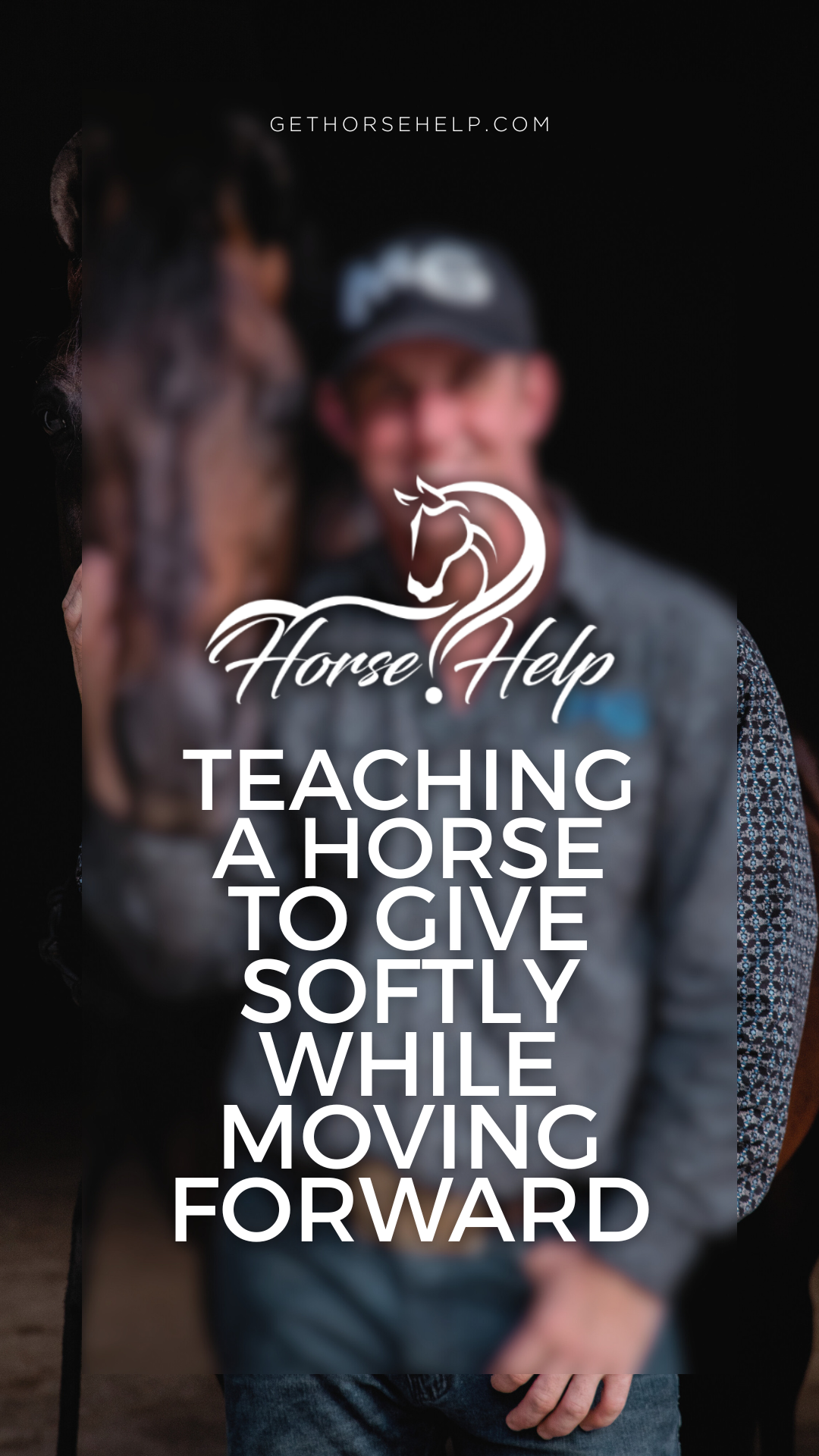 @Horse Help