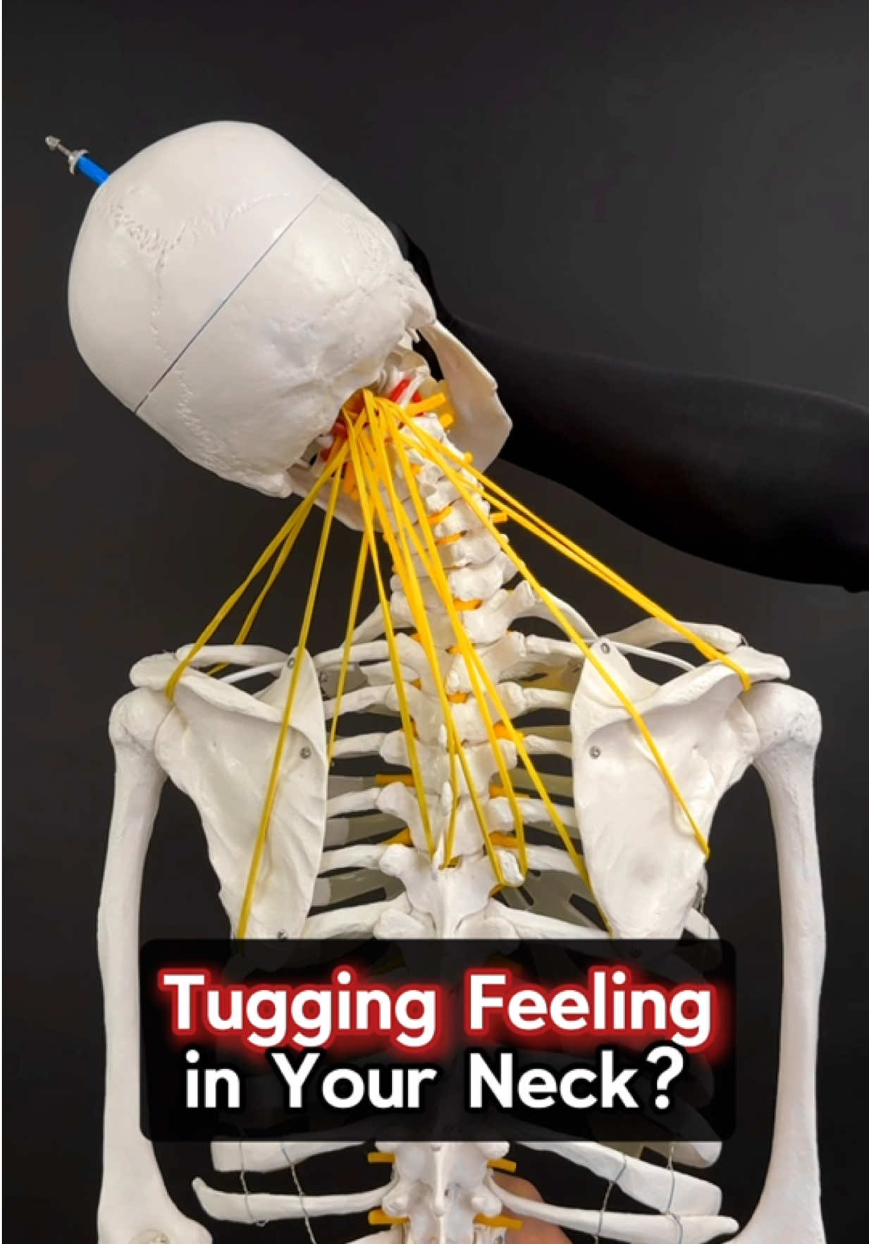 @Dr. Joe Damiani, DPT