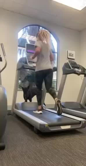 @Charlee The Cane Corso