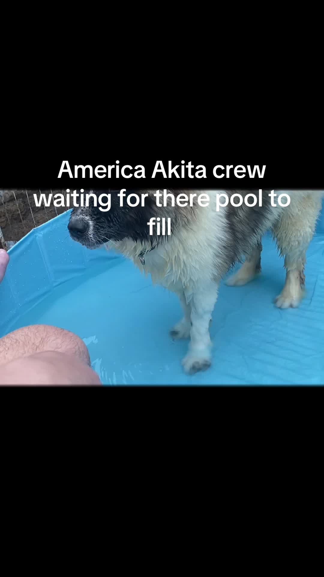 @Nick