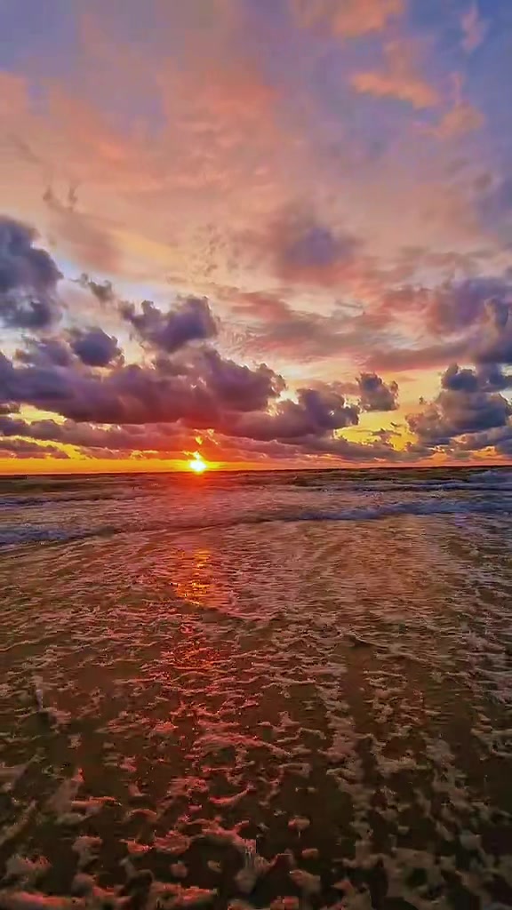 @༺𓆩𝖪𝖨𝖭𝖦𓆪༻