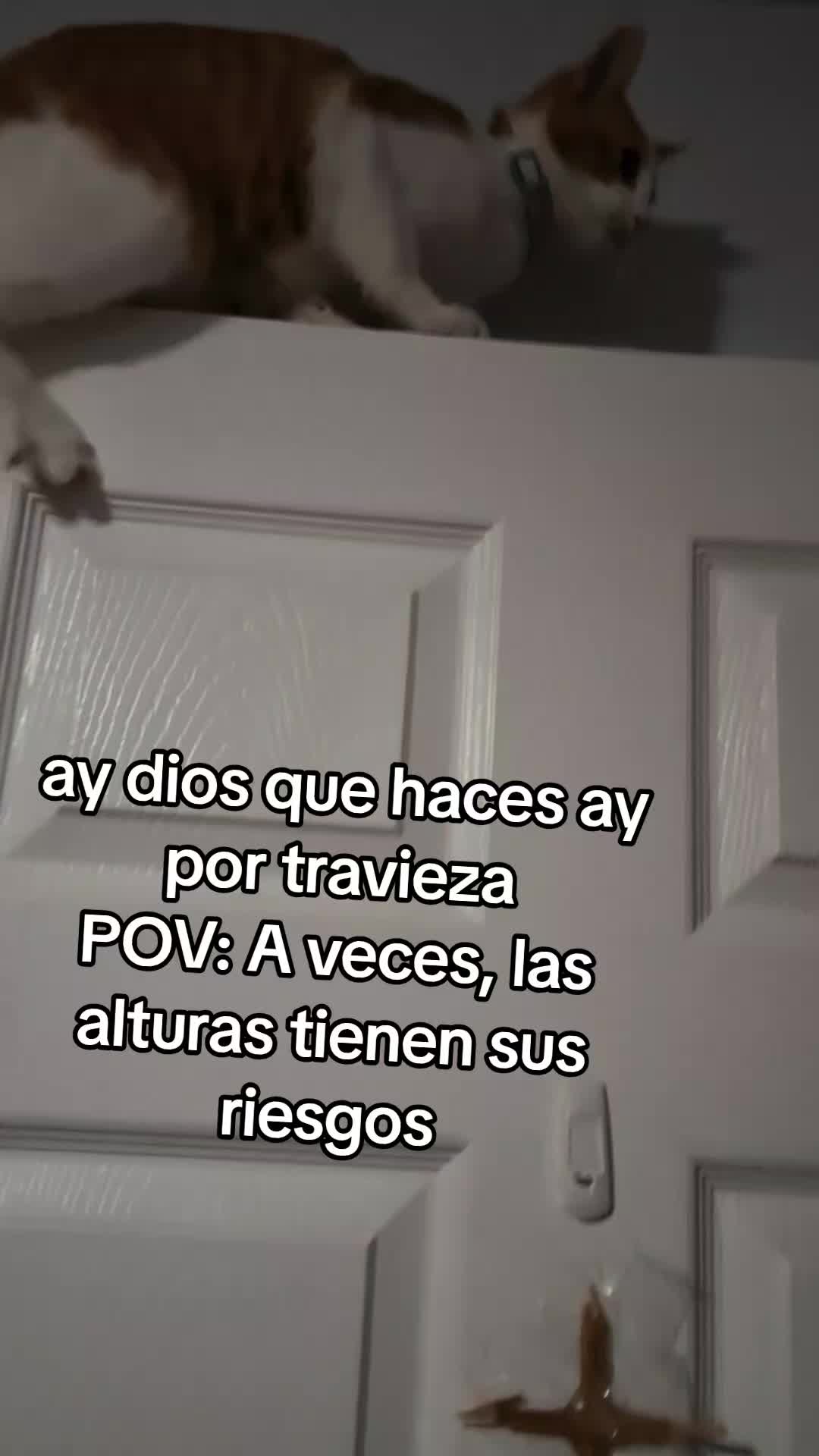 @Mamagatera20