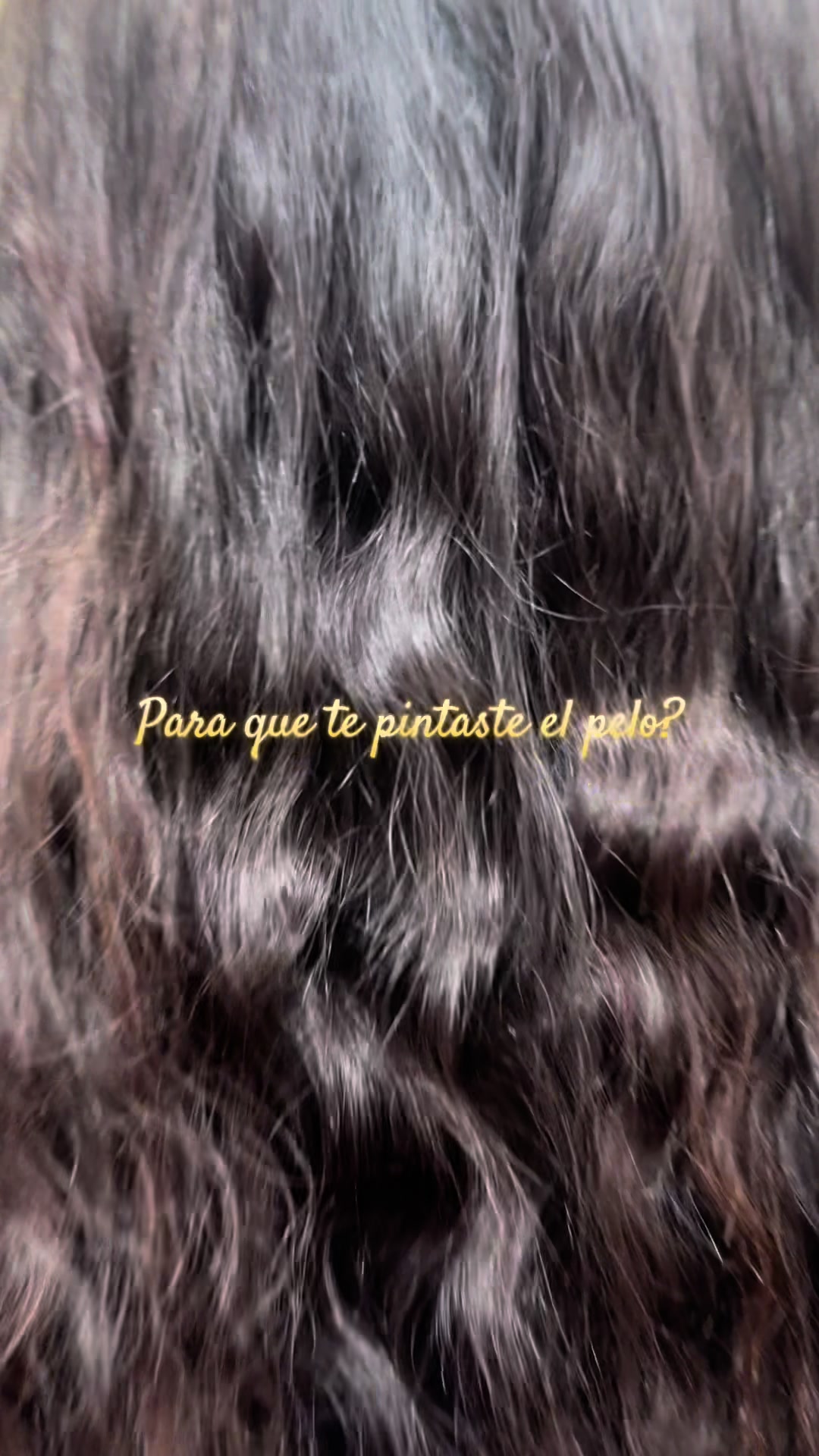 @✨patty🐆