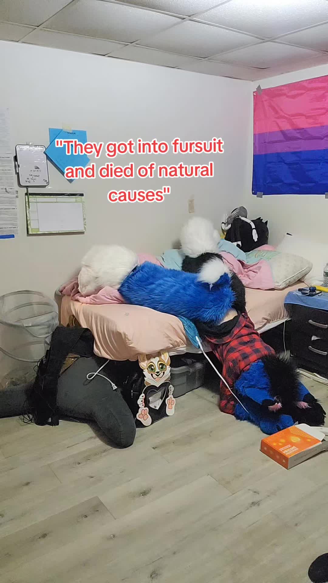 @Mx Queen Alpha🔜Furpocalypse?