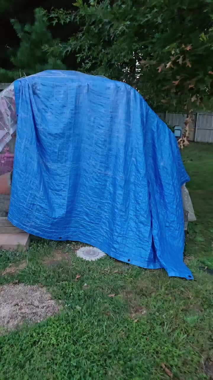 @ActiveMommy
