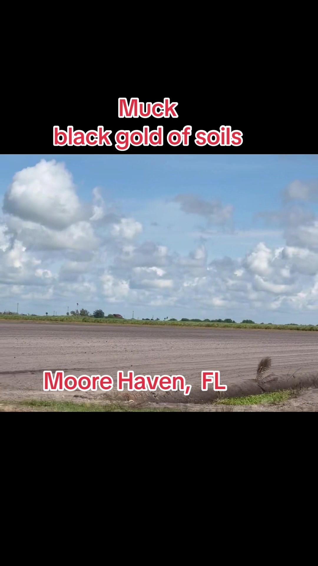 @Florida Land Guy