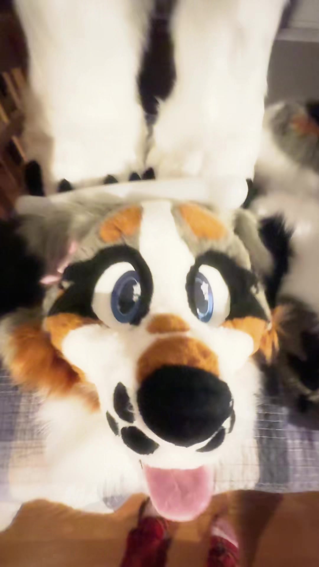 @Fl00fPawz✝️🐾