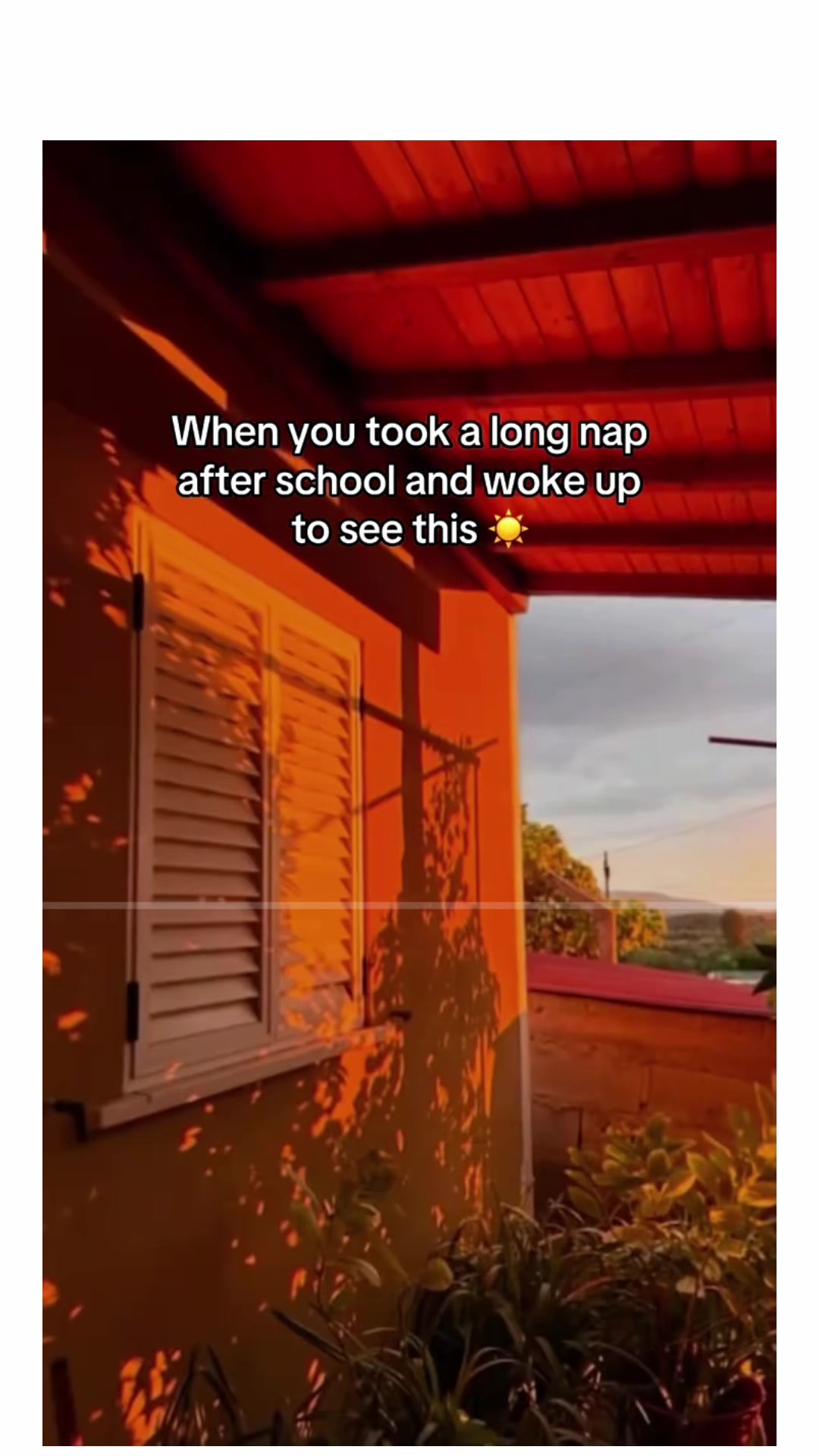 @Sereda