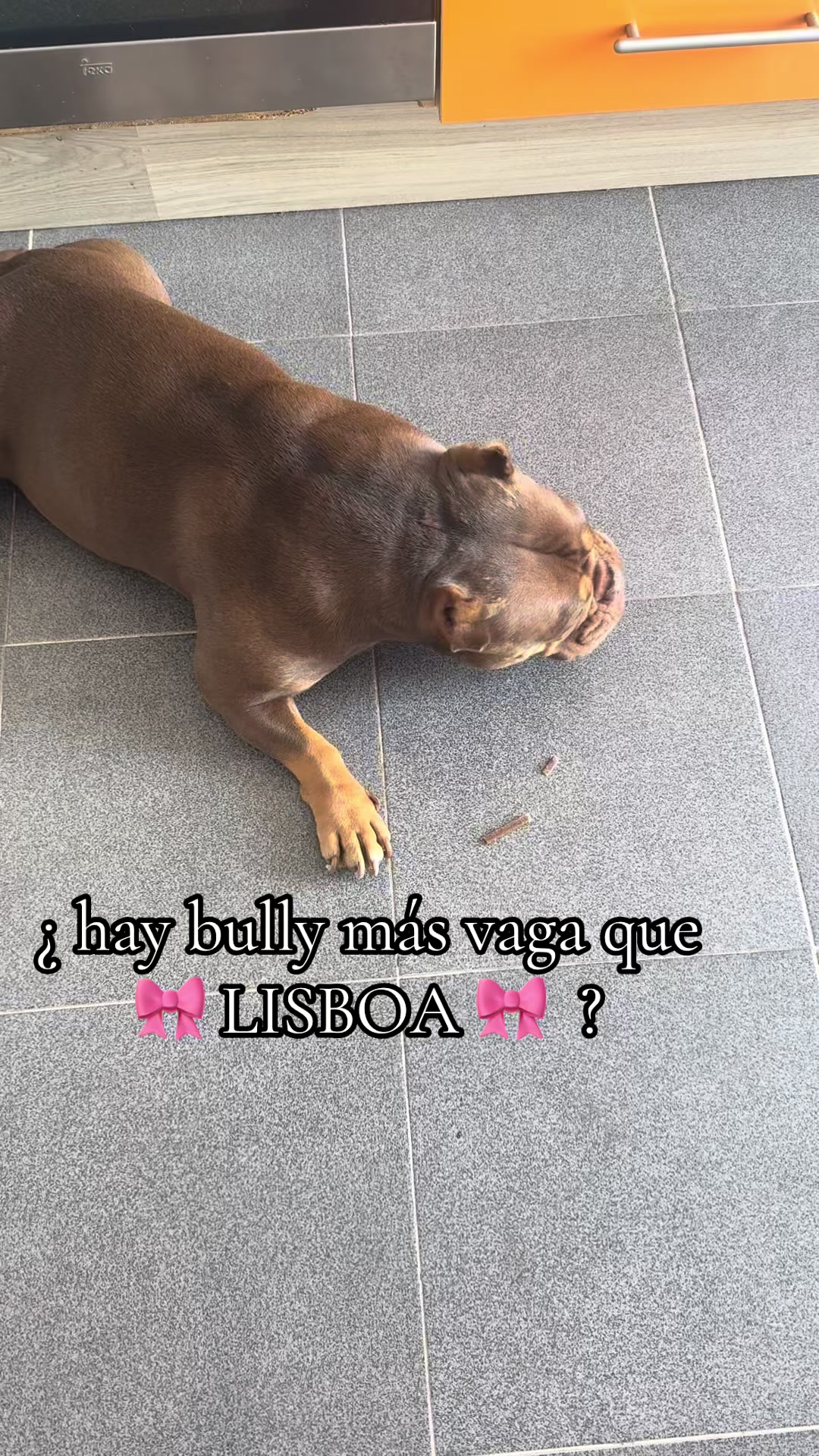@erikagaryu90_vlc