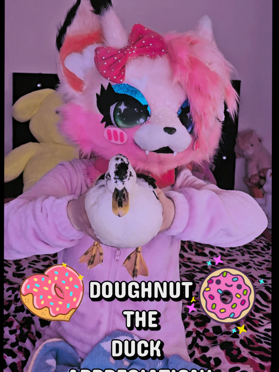 @Gigi 🔜 Scotiacon 2027 🎀